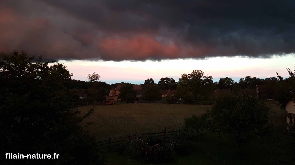 Filain , le 08 juillet 2017 - 20h53 - www.filain-nature.fr