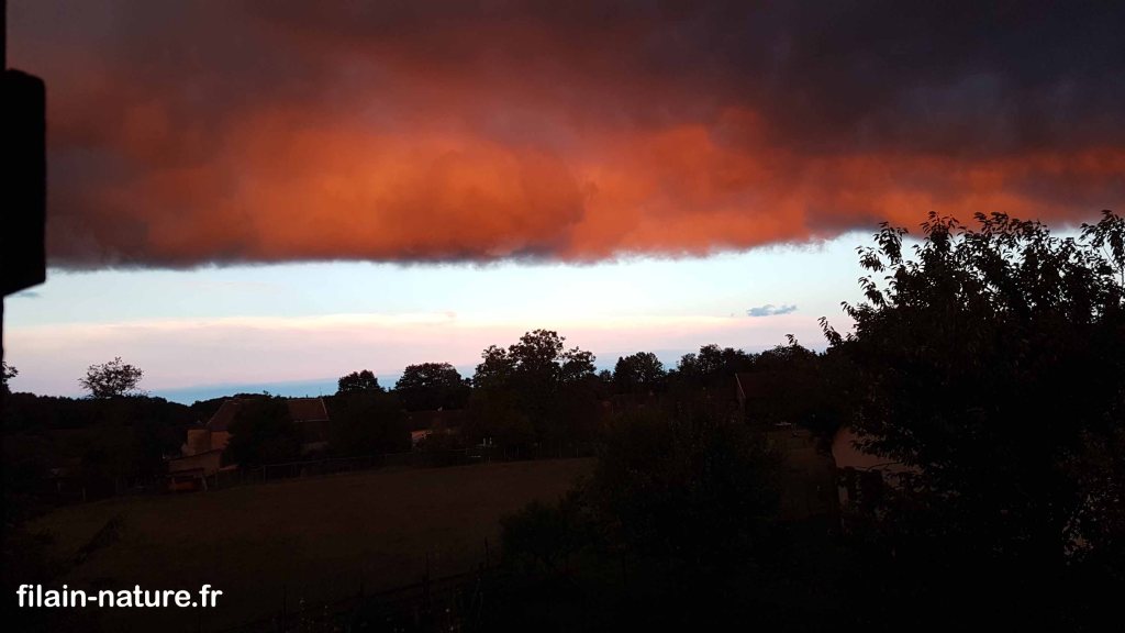 Filain , le 08 juillet 2017 - 20h52 - www.filain-nature.fr